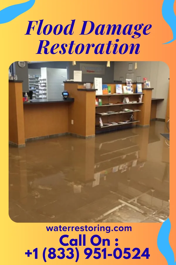 Flood Damage Restoration in Jeffersontown, KY