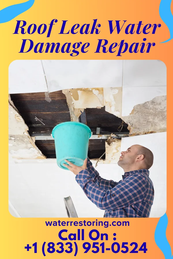 Roof Leak Water Damage Repair in Jeffersontown, KY